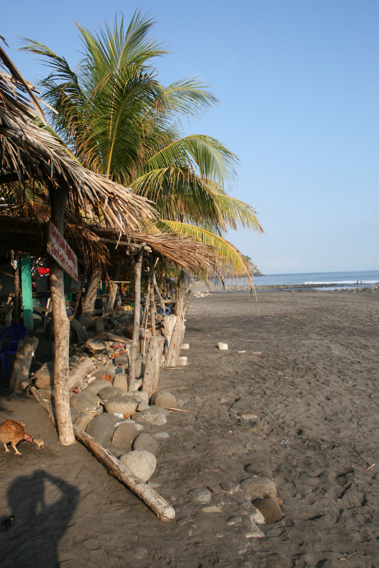Esencia Nativa - Playa El zonte - El Salvador Surfcamps - El Salvador ...